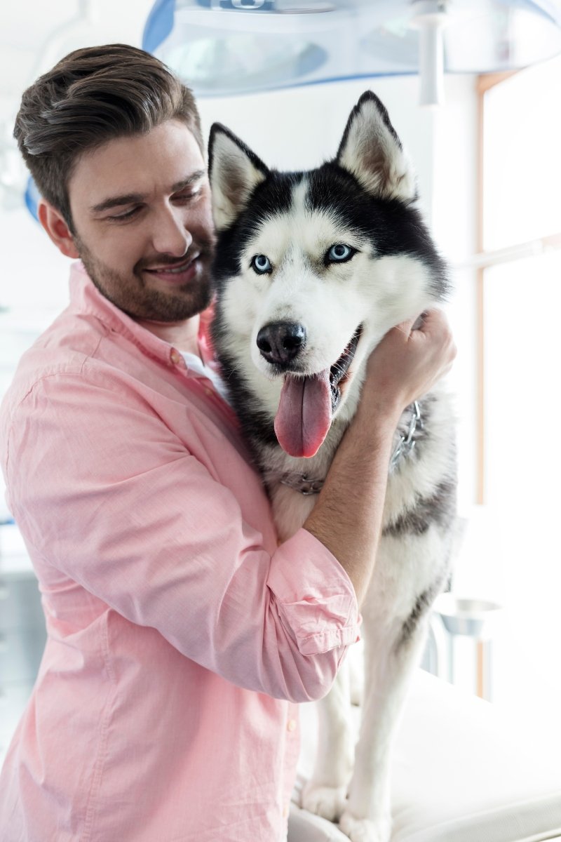 husky férfi gazdi