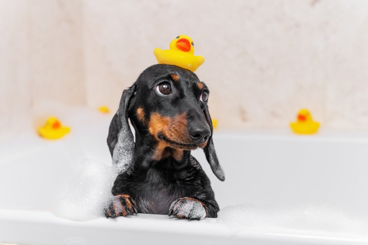 GettyImages-1364860635