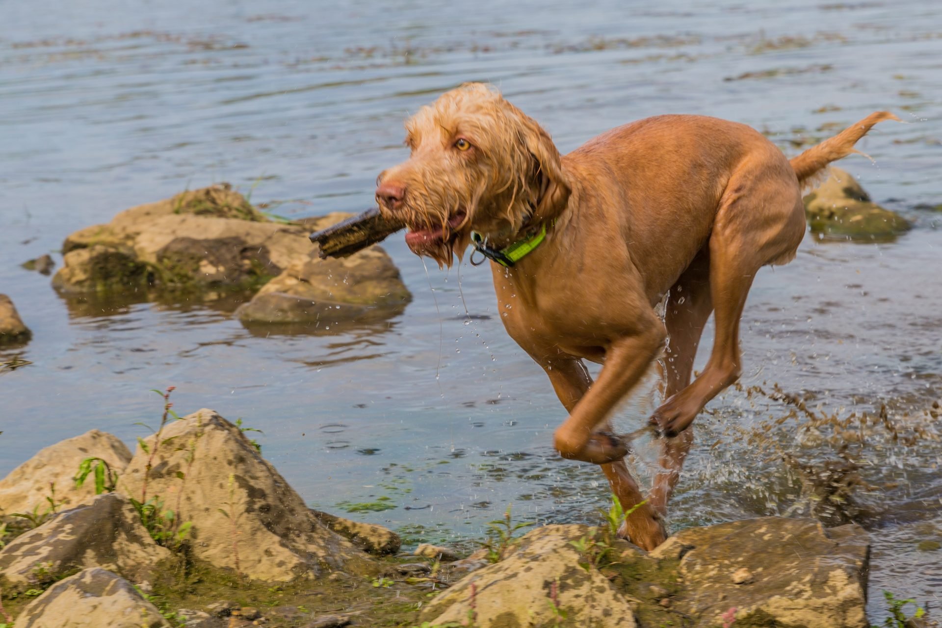 2023_09_gettyimages-1216443076-scaled.jpg
