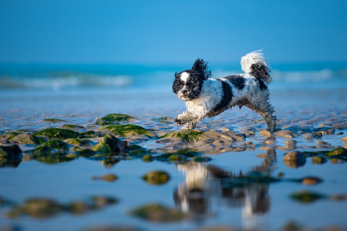GettyImages-1450293986
