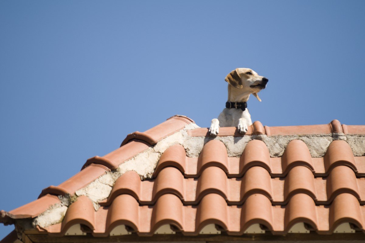 GettyImages-176778873