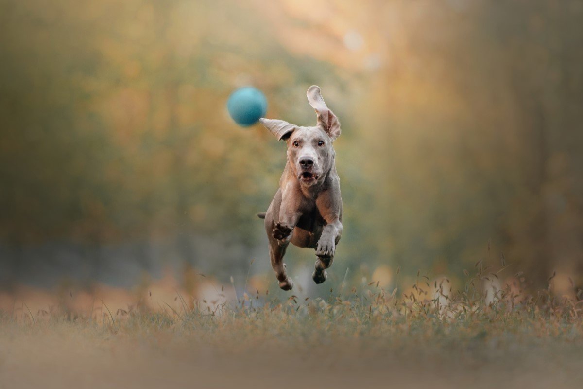 GettyImages-1213857309