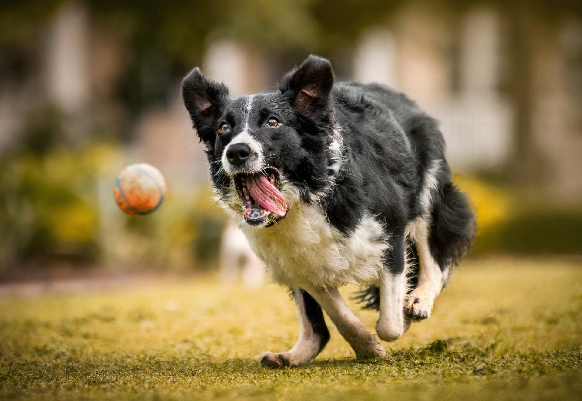 2023_10_gettyimages-1217915135-scaled.jpg