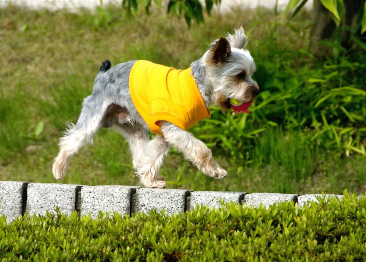 2023_10_gettyimages-652783036-scaled-e1698137643878.jpg