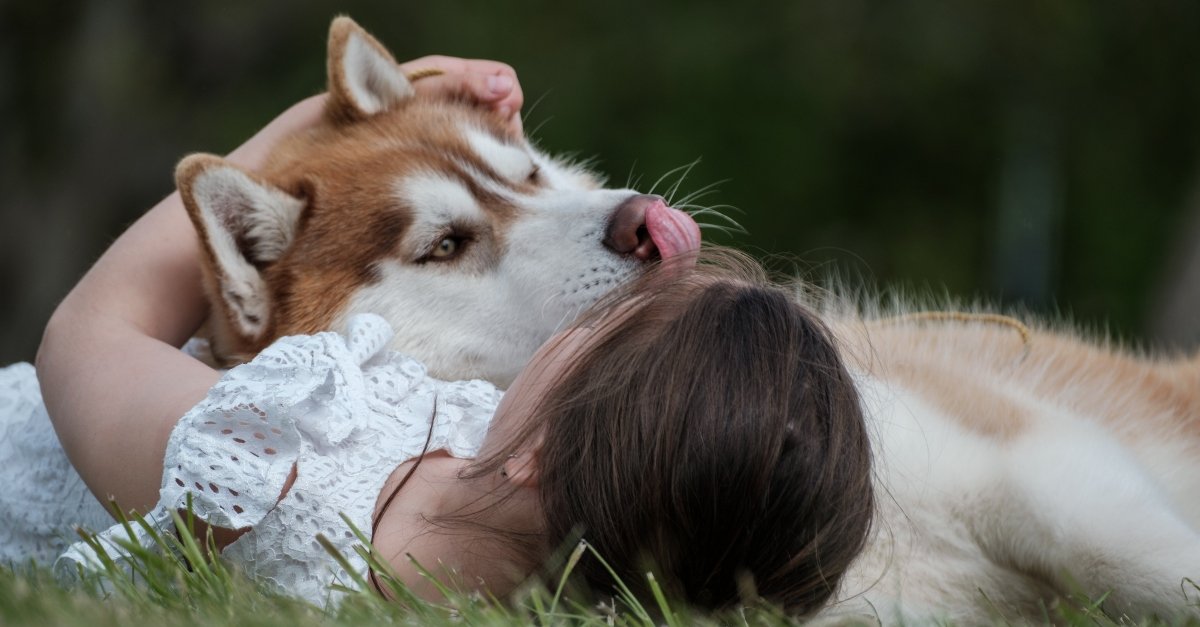 husky Válóczi ölel szeret gyerek Fb