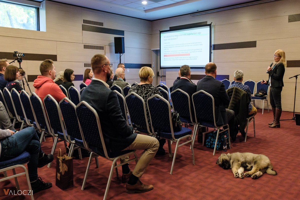 dogz konferencia árkossy beatrix