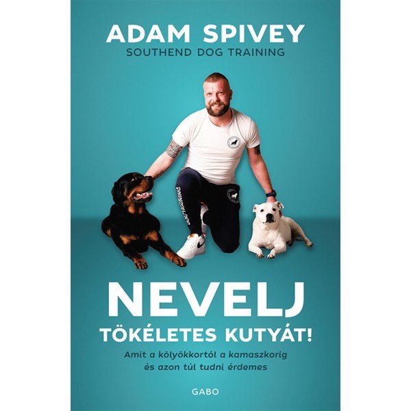 adam-spivey-nevelj-toekeletes-kutyat