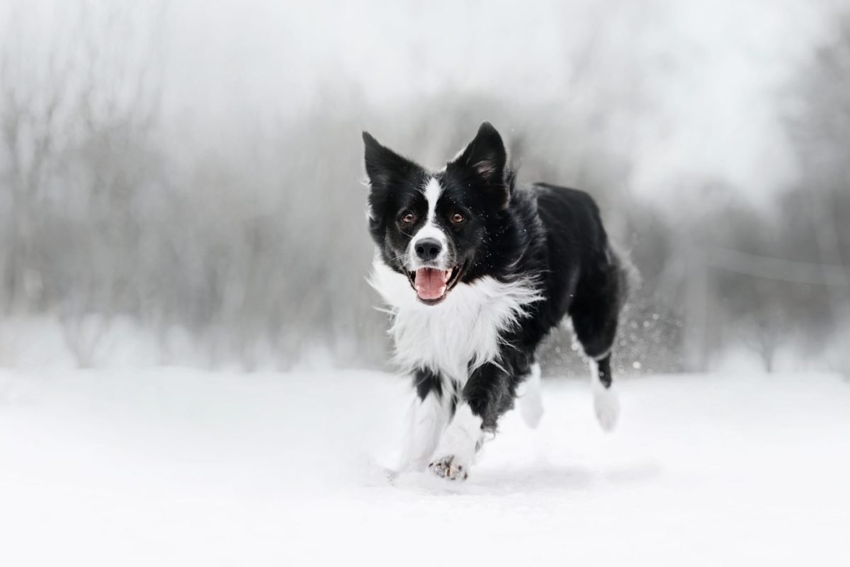 2023_12_gettyimages-1241136580-scaled-e1701444076473.jpg