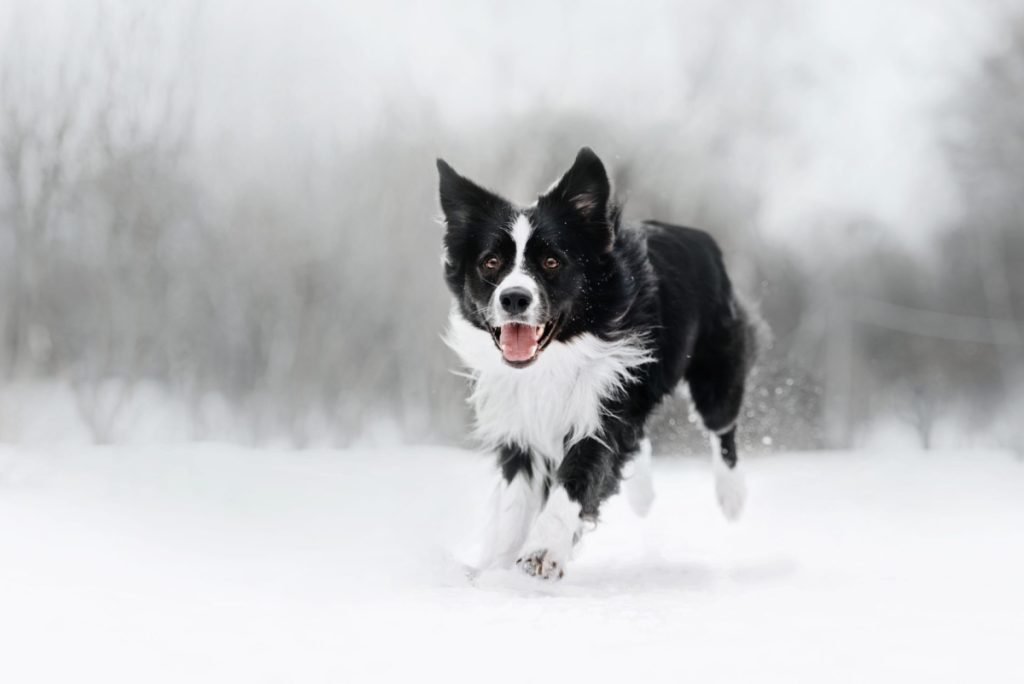 2023_12_gettyimages-1241136580-scaled-e1701444076473-1024x684.jpg