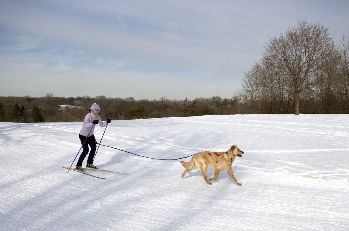 2023_12_gettyimages-182697061-scaled-e1701443265325.jpg