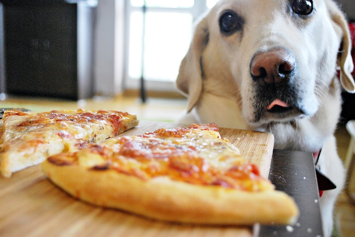 pizza szemek