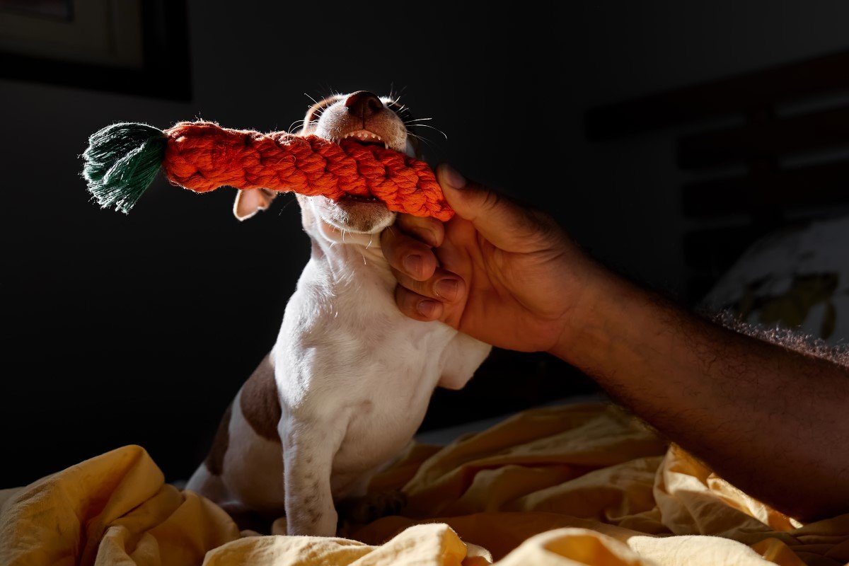 GettyImages-1598941289