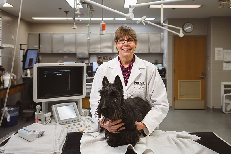 knapp-terriercancerLO (1)