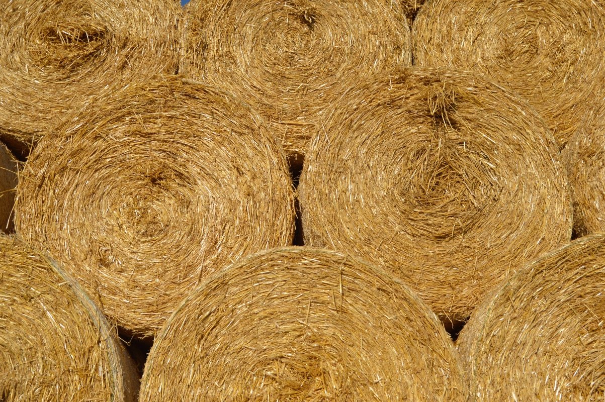 szalmabelső