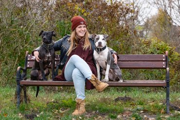 Két kutya a gazdájával ül egy padon