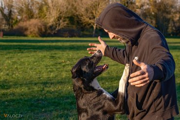 gazdi és kutyája játszanak