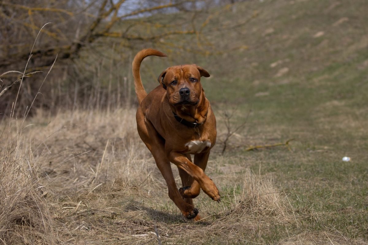 2024_02_gettyimages-1475495974-scaled-e1708428297821.jpg