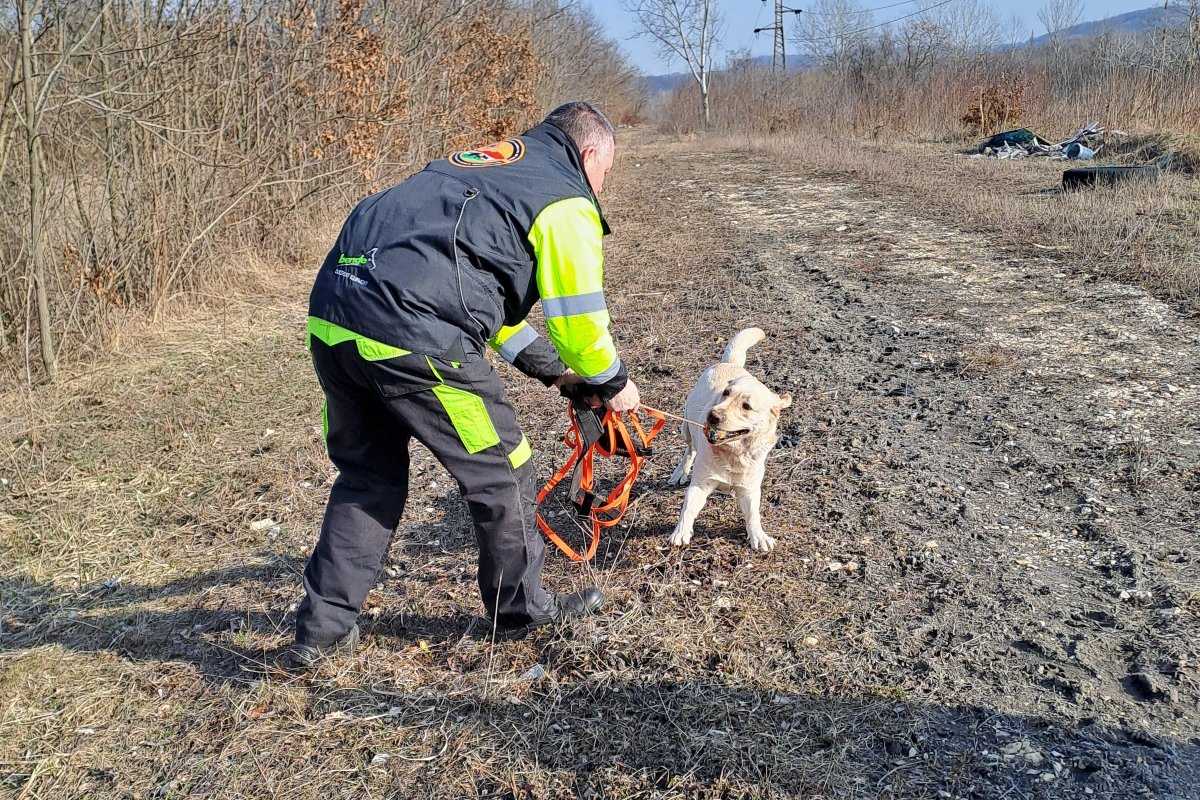 Buksi személykereső