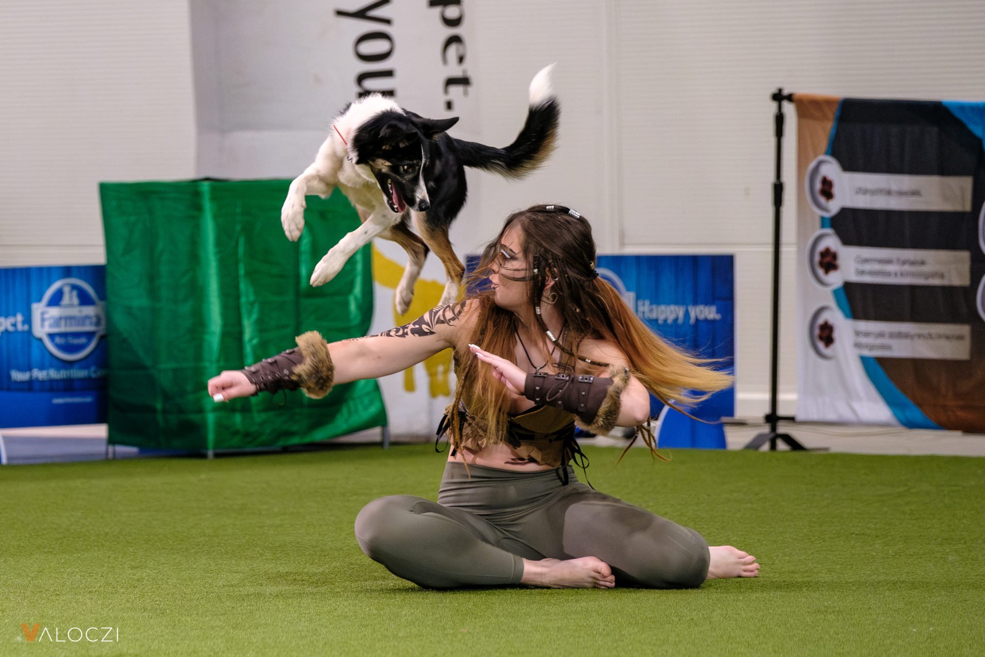 dog dancing AÉK Válóczi