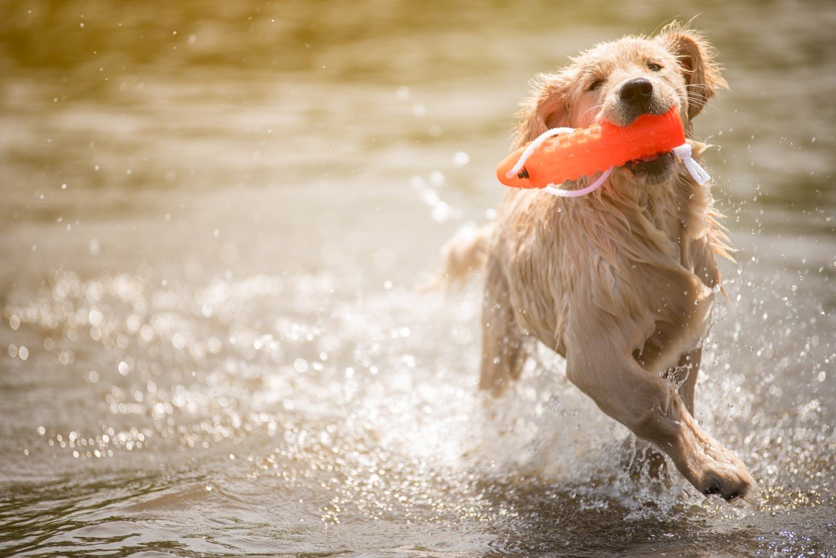 GettyImages-538629308