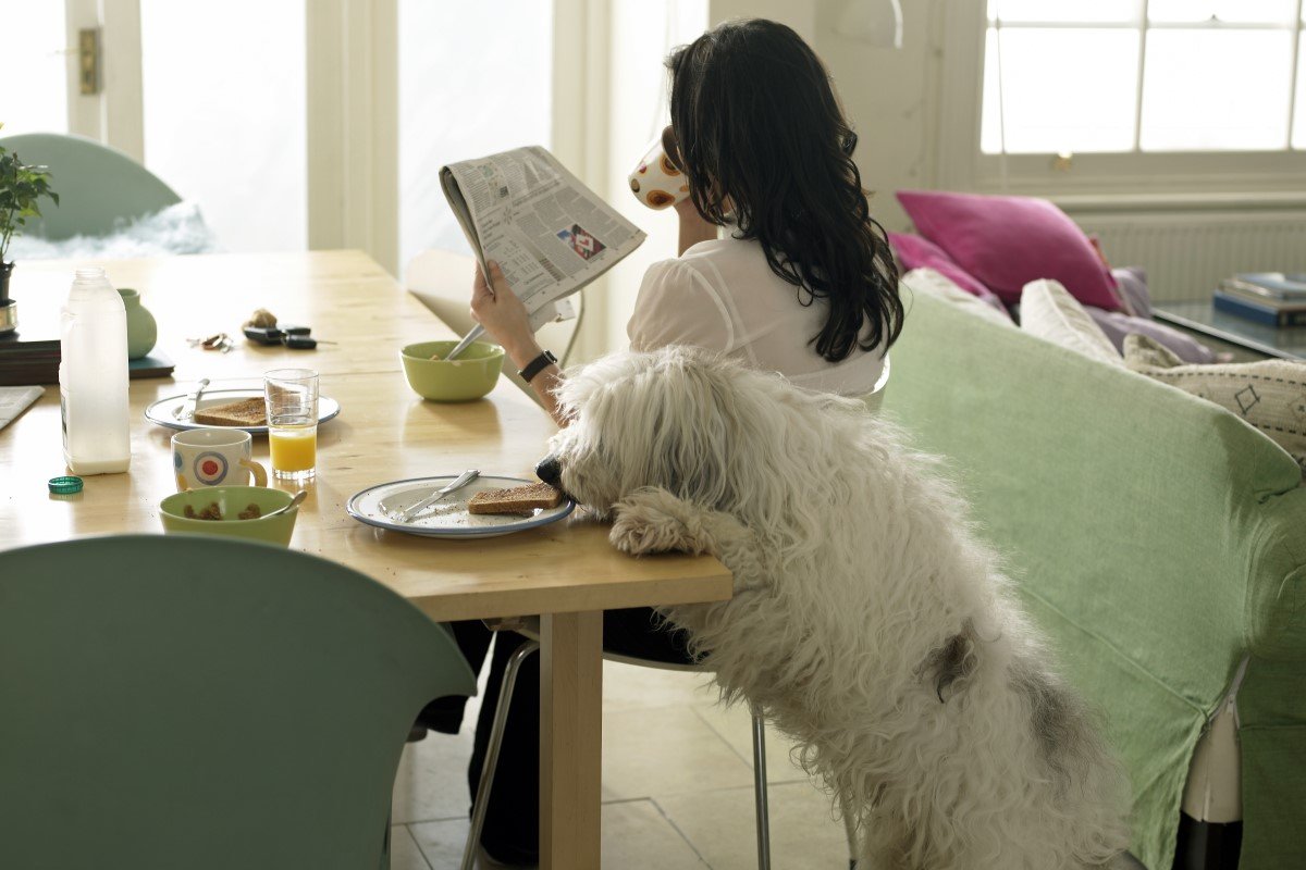 GettyImages-82548950