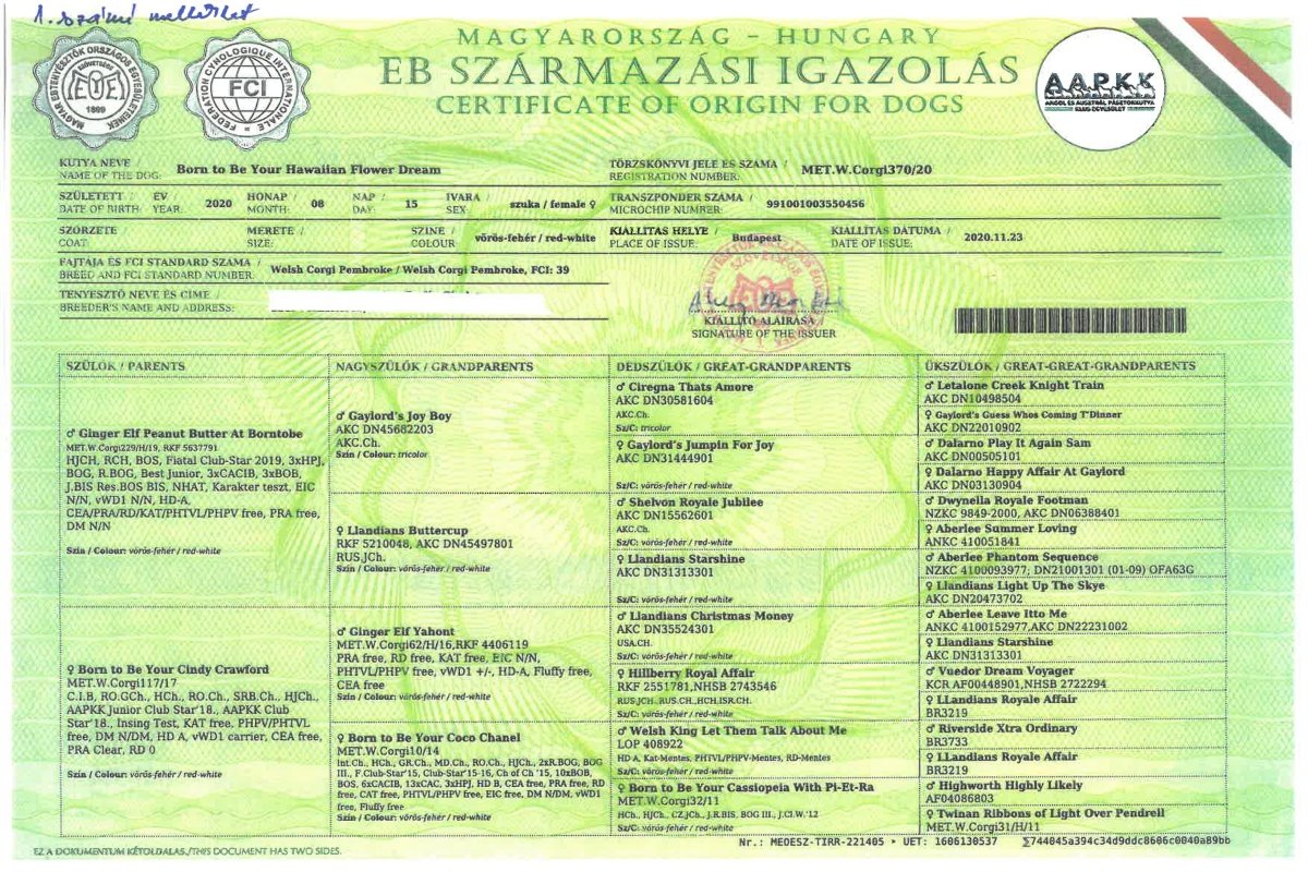 engedély kell a felhasználáshoz MEOESZ törzskönyv