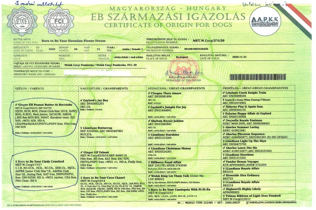 engedély kell a felhasználáshozMEOESZ törzskönyv
