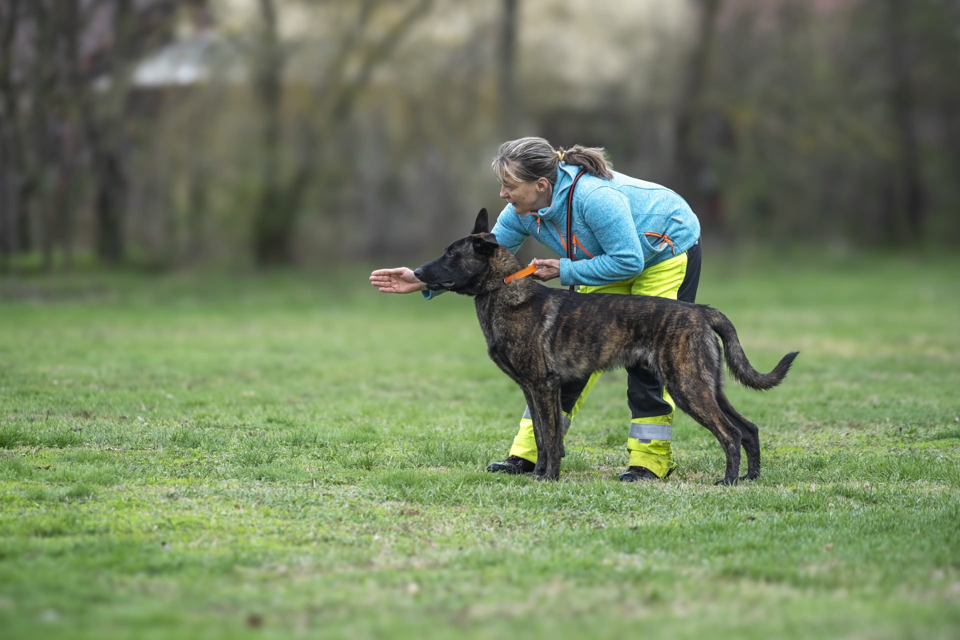 2024_04_dog-plusz-egyesulet3-scaled.jpg