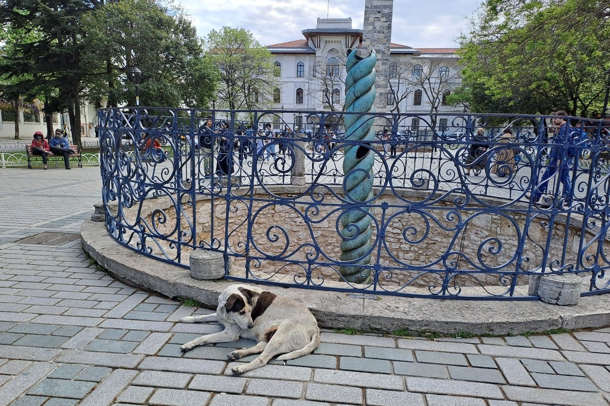 isztambul 5 saját
