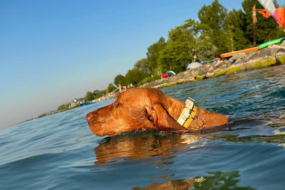 mirabella camping natív