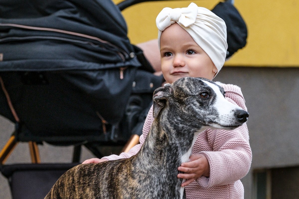 agár gyerek kisgyerek Válóczi AÉK borító
