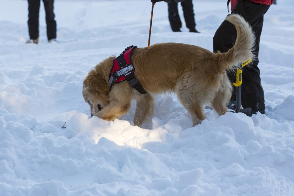 2024_05_gettyimages-1053989440-1-1024x683.jpg