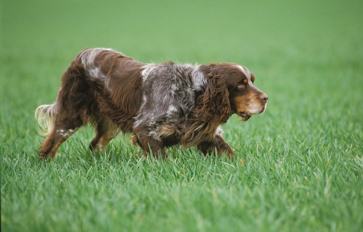 2024_05_gettyimages-1227394599-scaled-e1715201542824.jpg