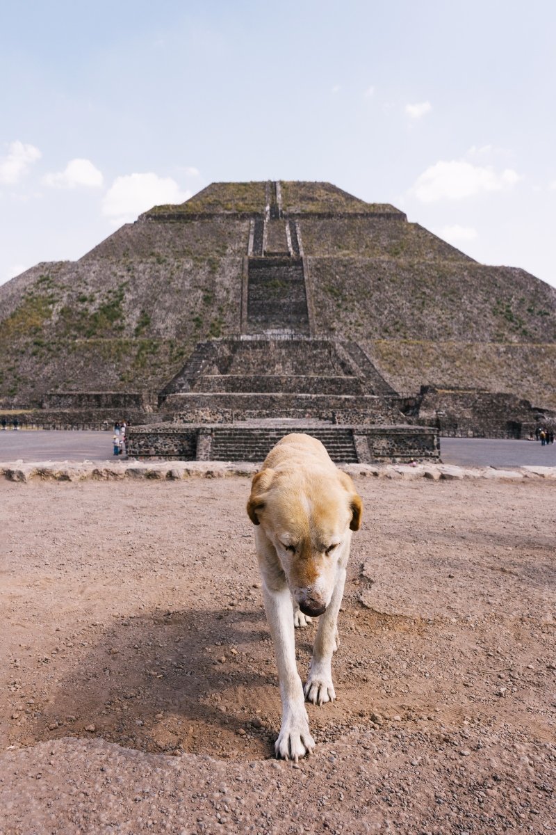 Nap-piramis, Teotihuacan, Mexikó