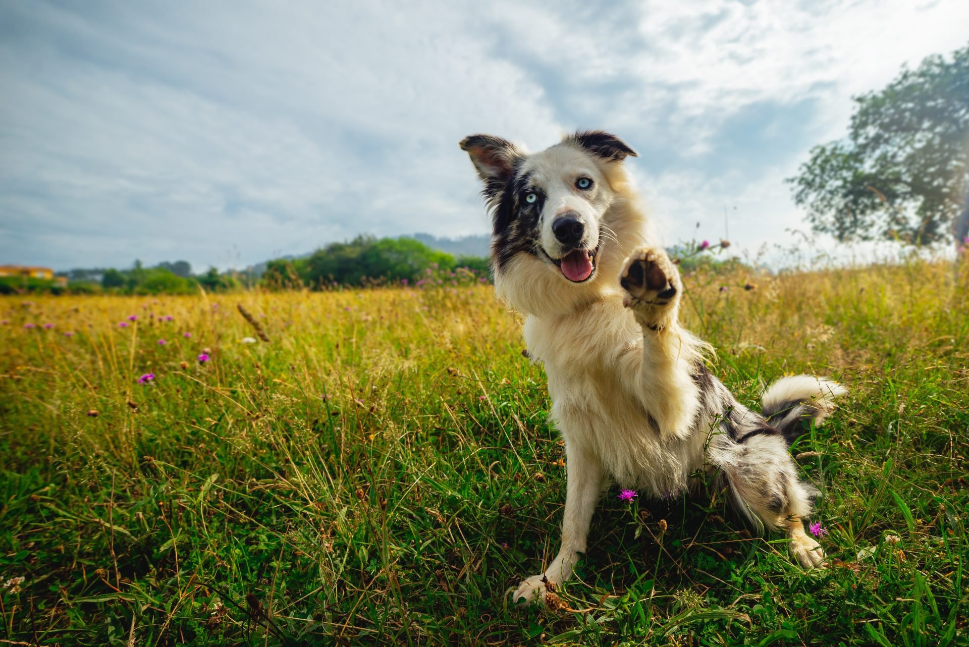 2024_05_gettyimages-1498905251-1-scaled.jpg