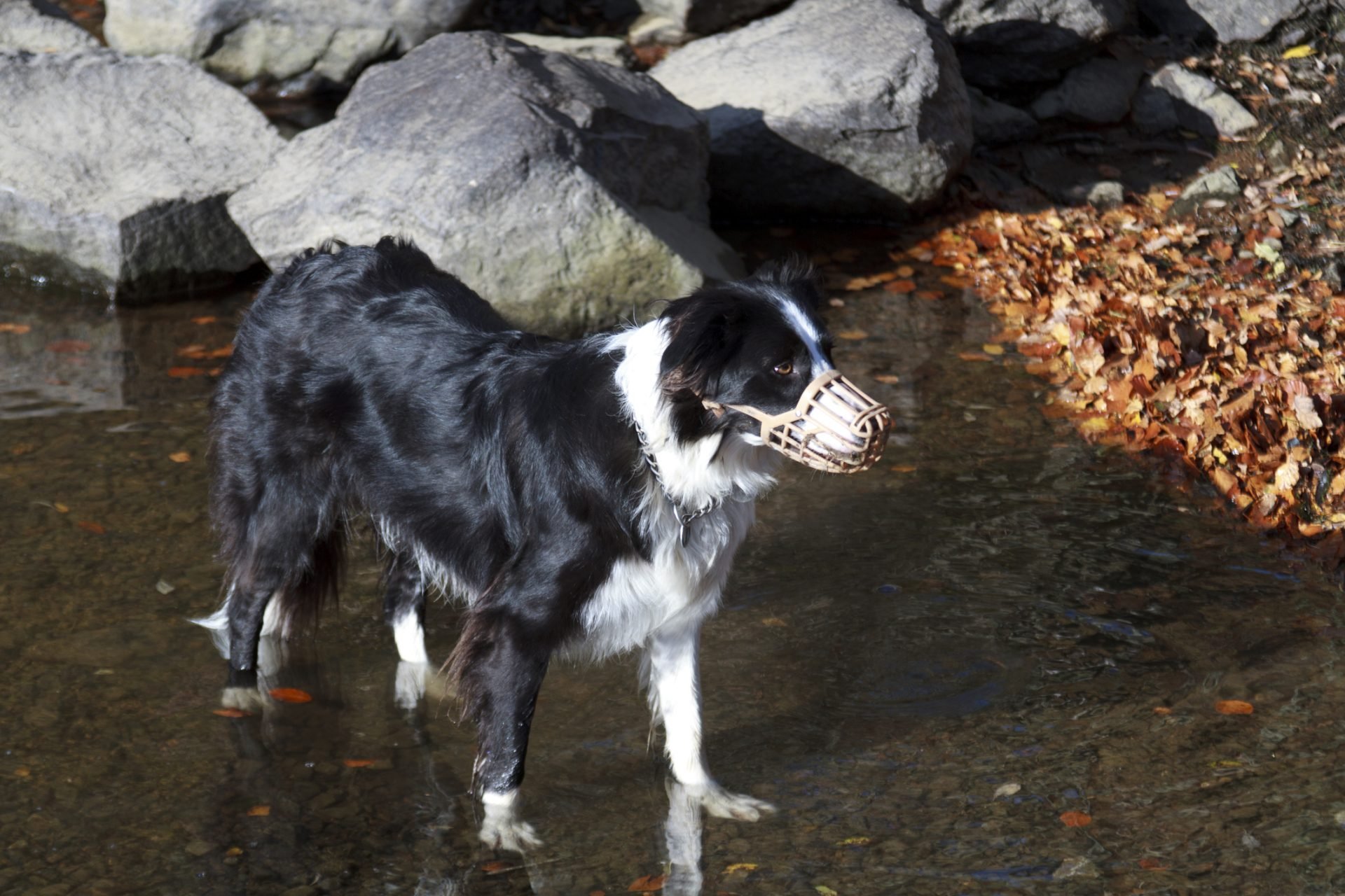2024_05_gettyimages-185498479-scaled.jpg