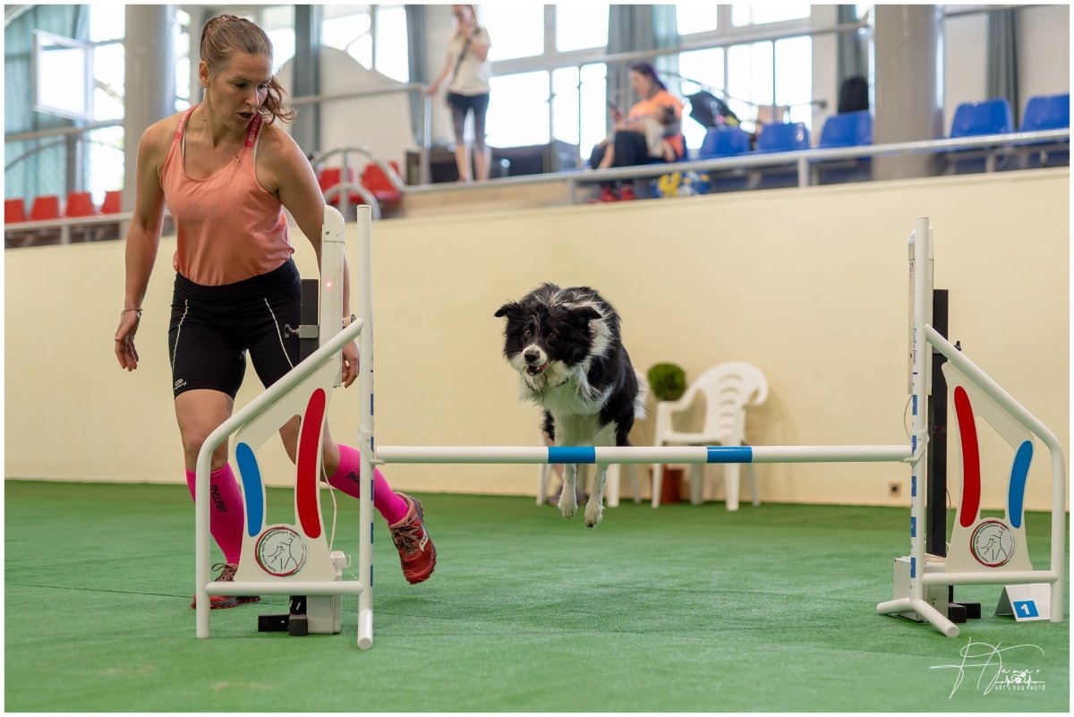 agility Tic-Tac Horváth Tamás képe csak ide