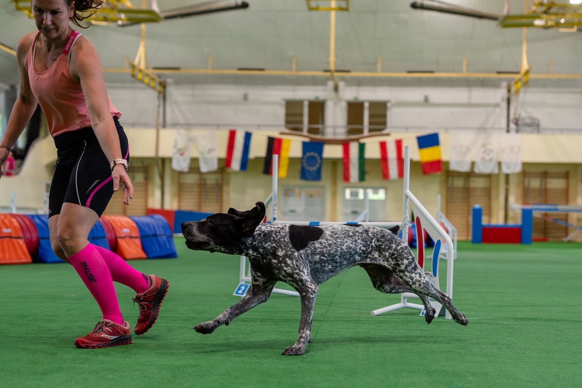 Anri Kozári Karina Horváth Tamás- Art's Dog Photography képe