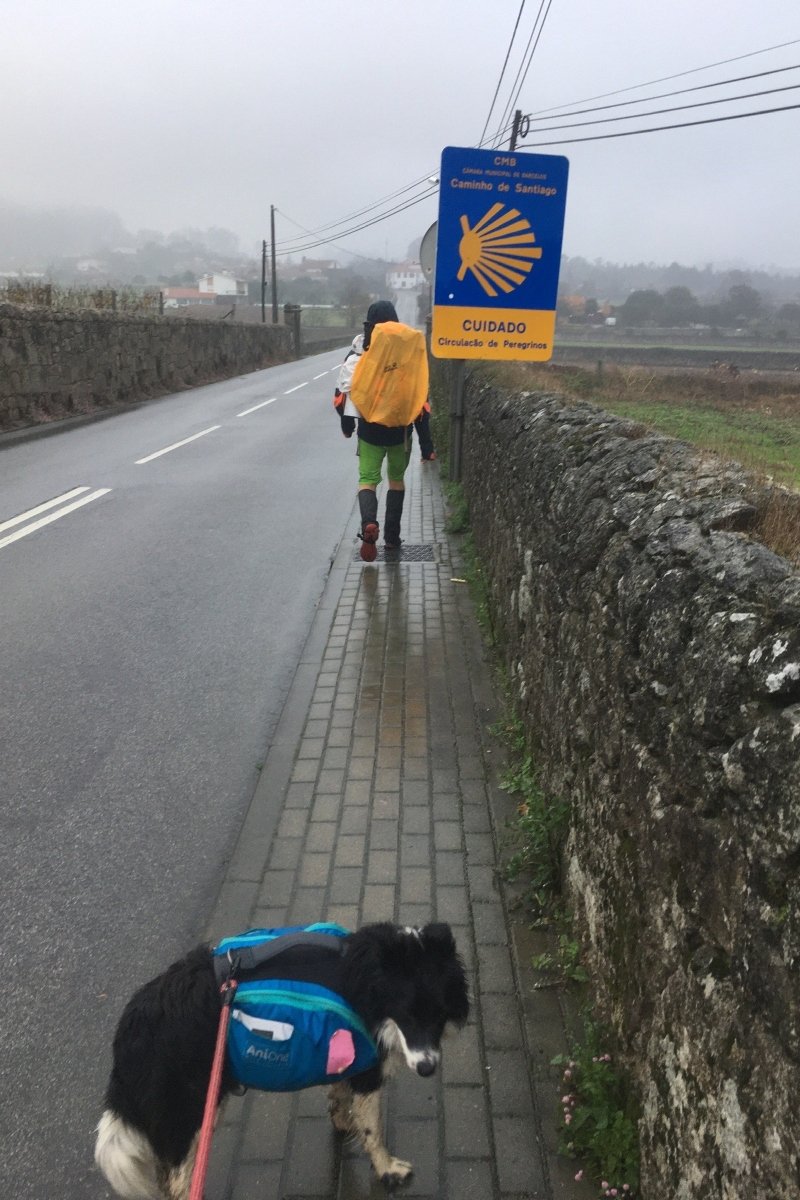 Caminó Tic-Tac Kozári Karina képe