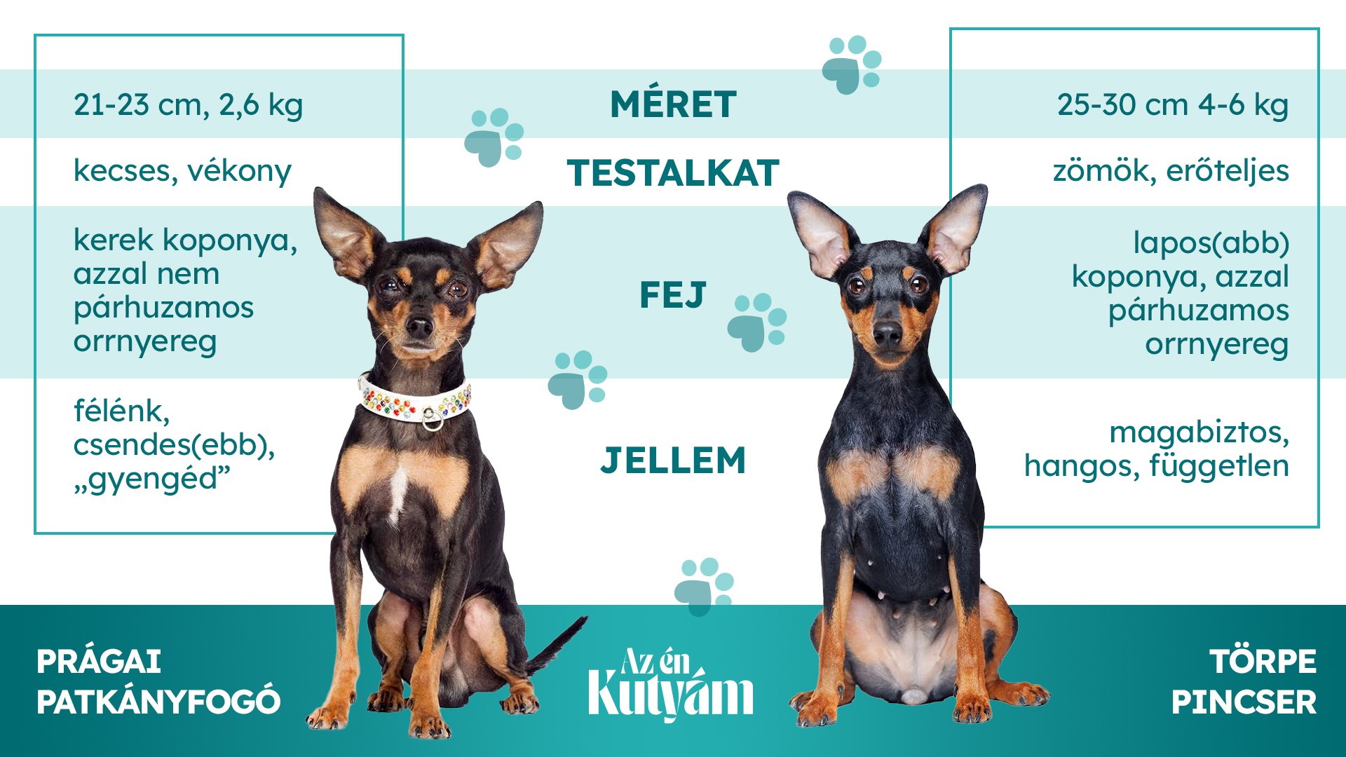 fajta_osszehasonlitas