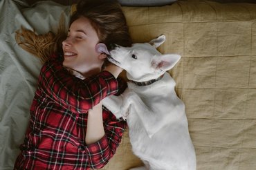 kutya nyalogatja a gazda arcát