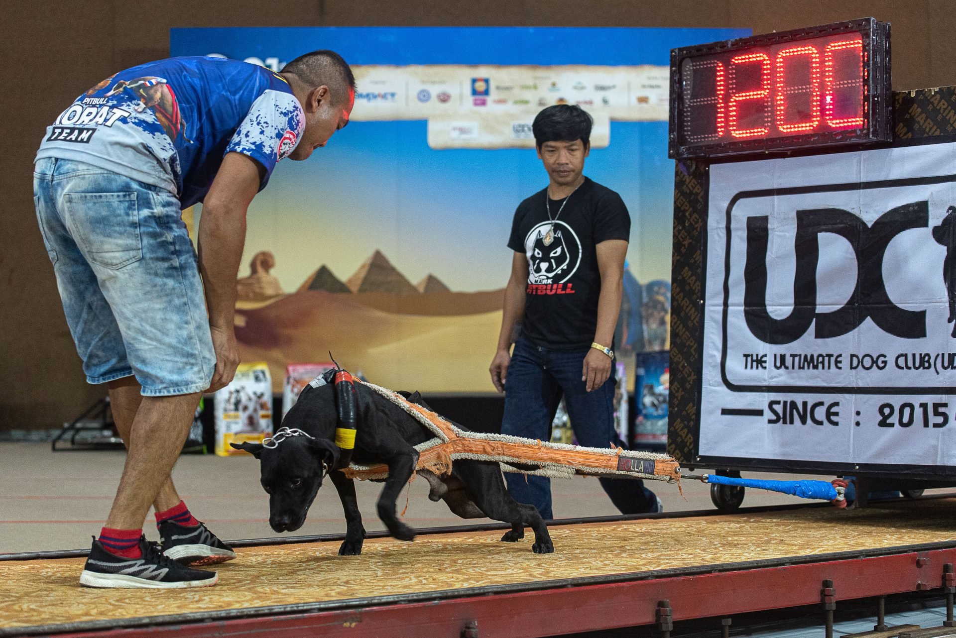 2024_06_gettyimages-1514181334-scaled.jpg