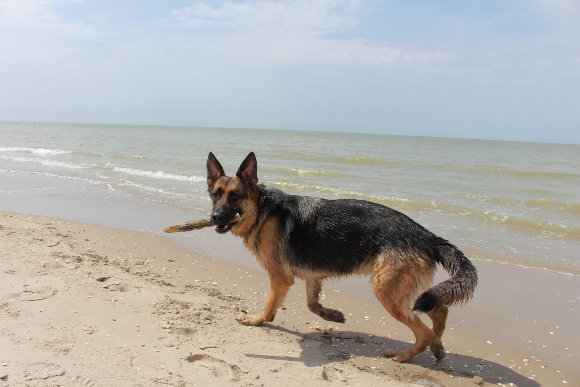 2024_06_gettyimages-691972456-scaled.jpg