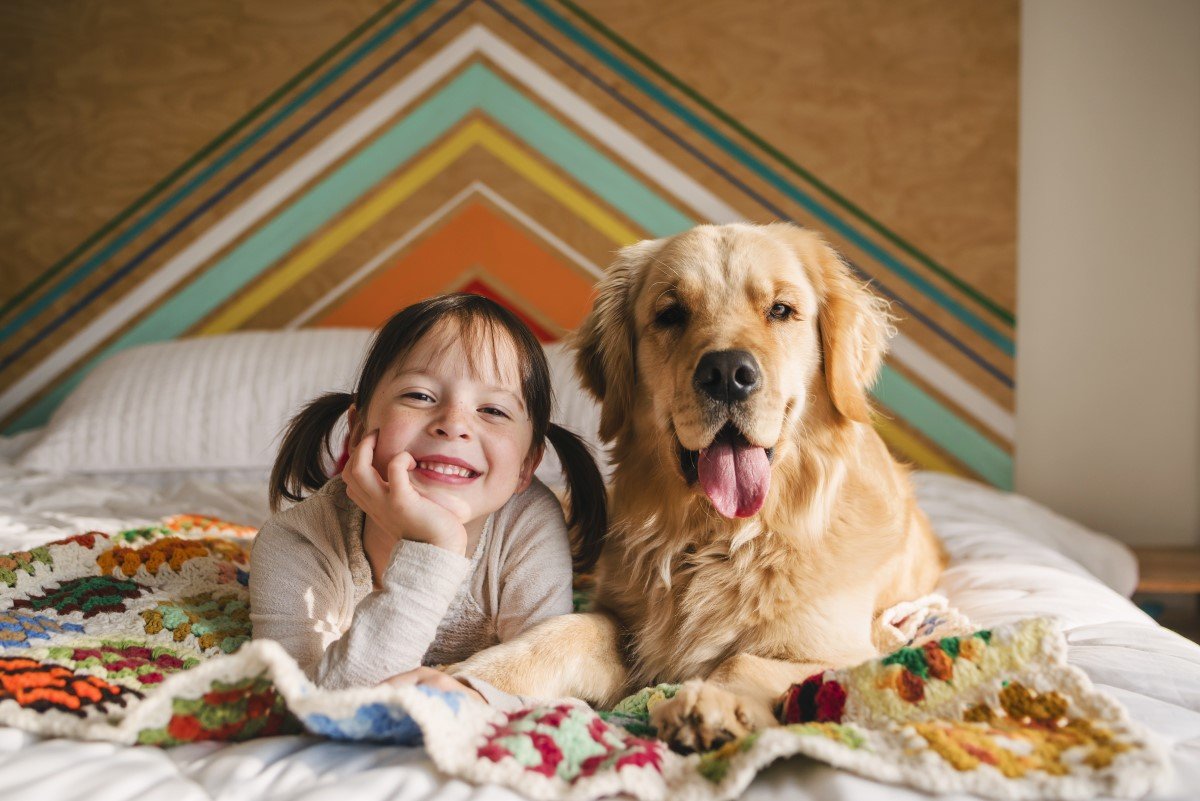 golden retriever ágyon fekszik kislány mellette fekszik mosolyog