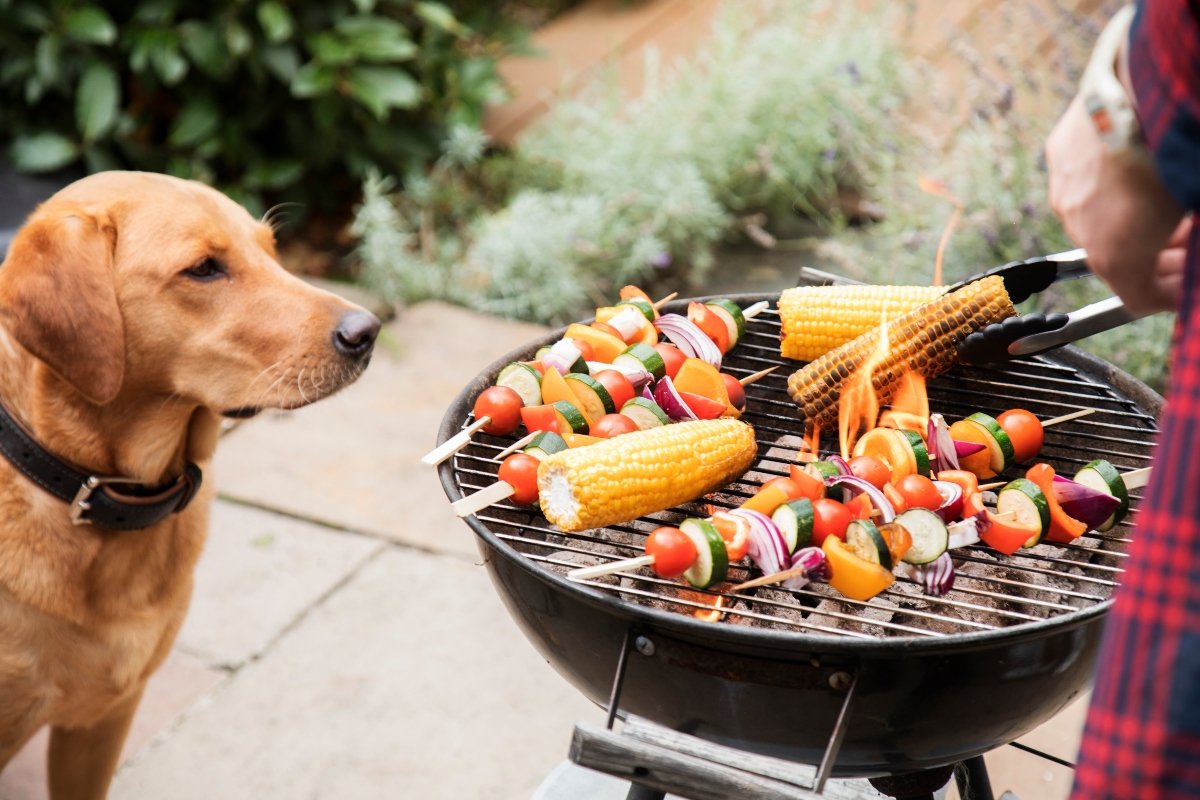 grill kukorica zöldség tűz