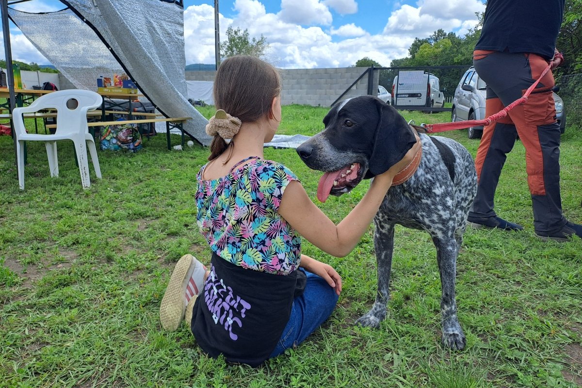 kutyás piknik Anri