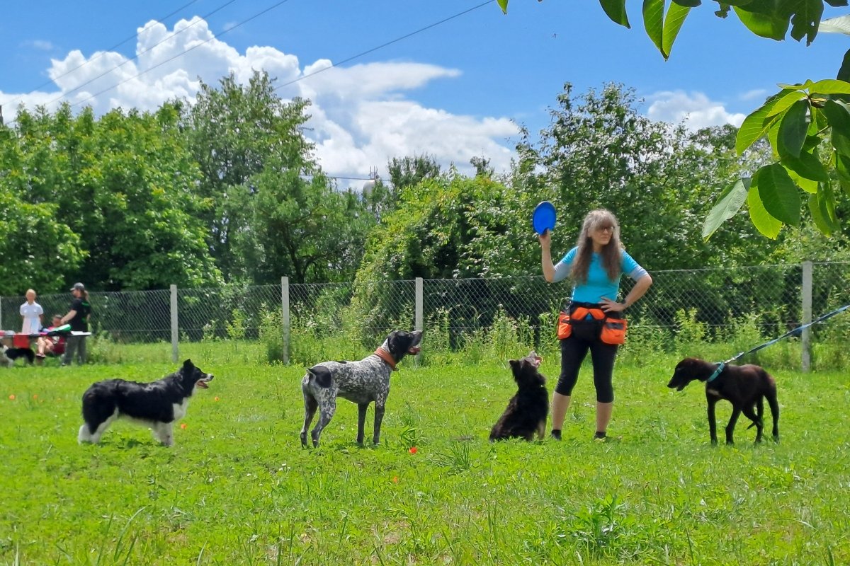 kutyás piknik saját (1)