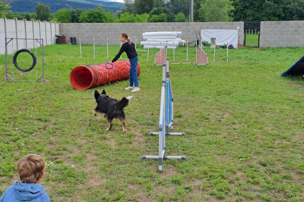 kutyás piknik saját (2)