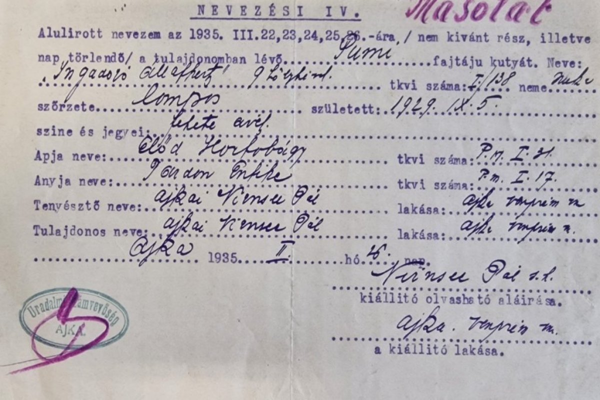 engedély kell a felhasználáshoz nevezési ív Makó János nemzeti múzeum
