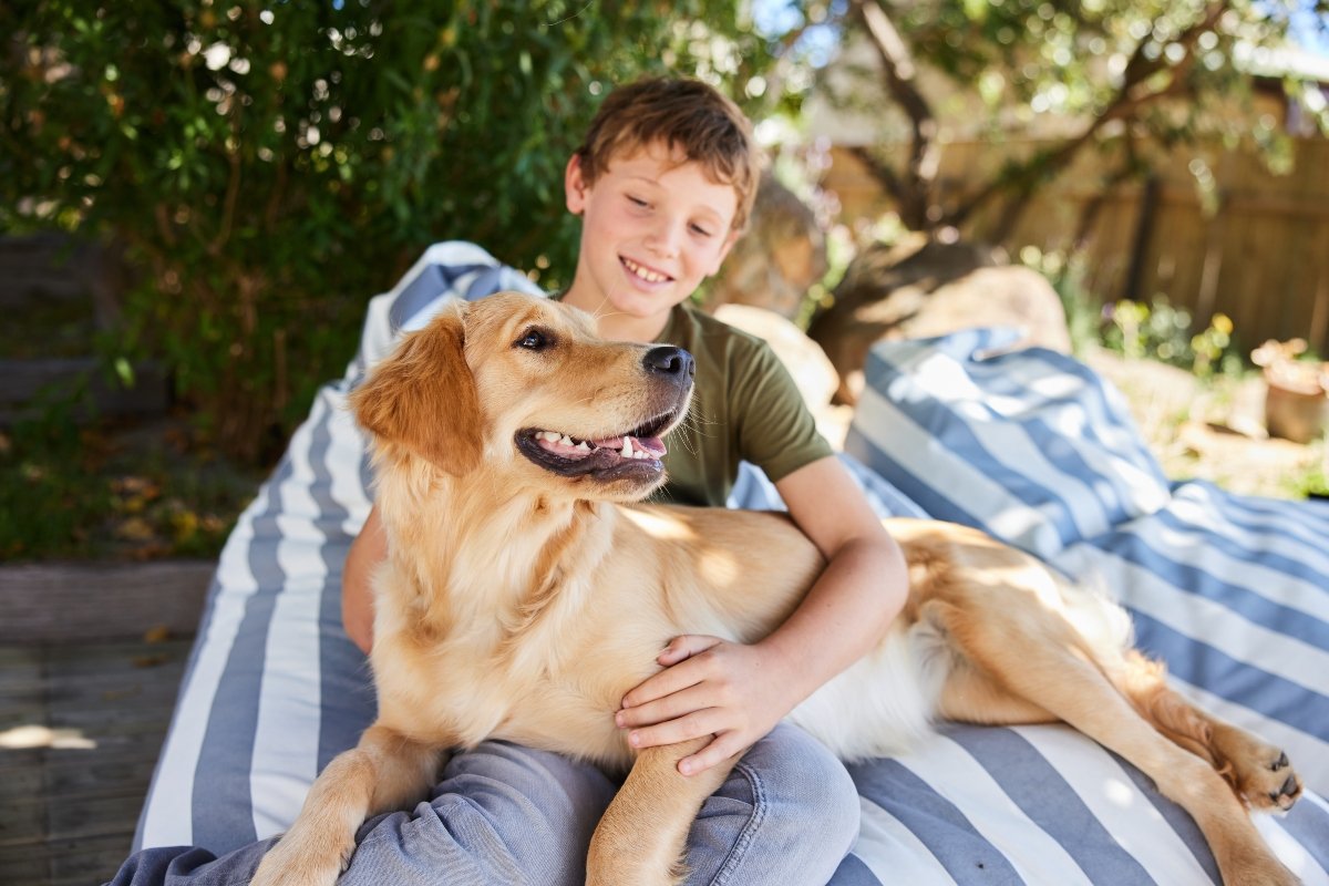 golden retriever kisfiú szeretet